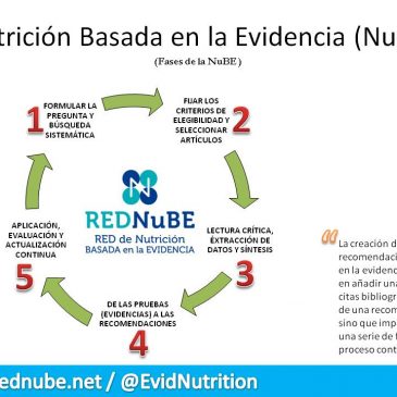 Fases de la Nutrición Basada en la Evidencia (NuBE)